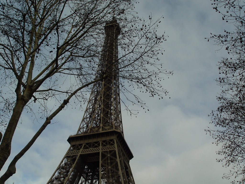 dsc03363.jpg