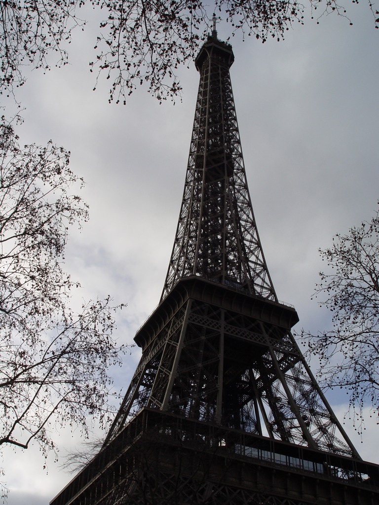 dsc03365.jpg