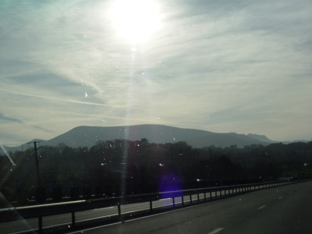 dsc03369.jpg