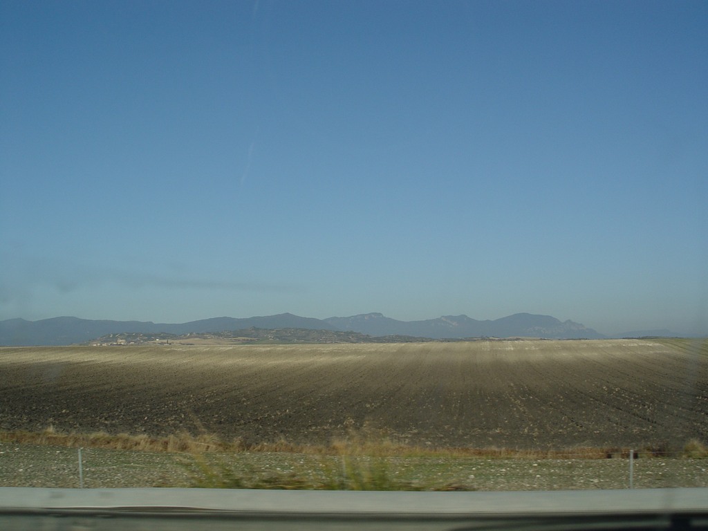 dsc03384.jpg