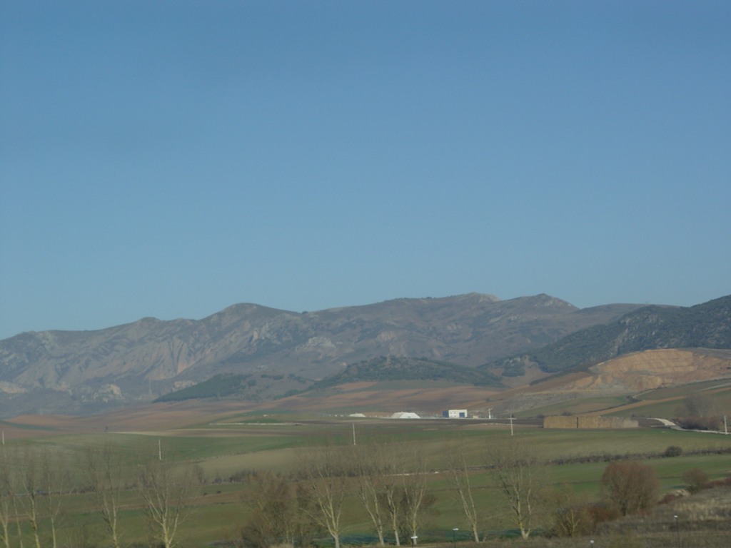 dsc03387.jpg
