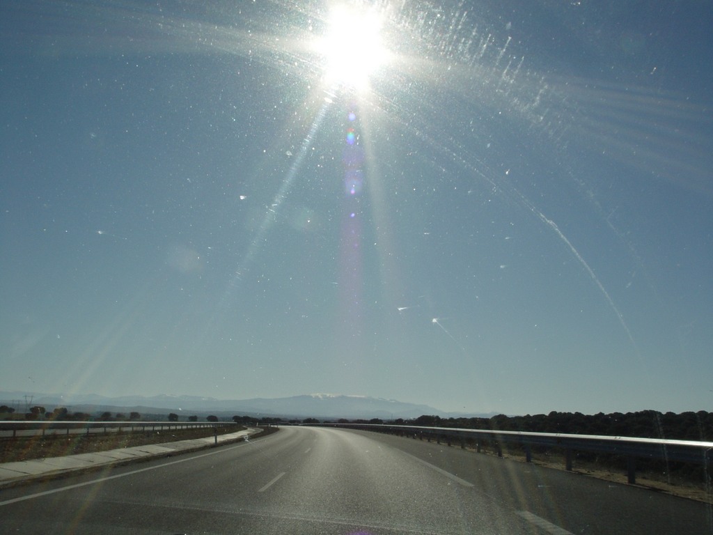 dsc03390.jpg