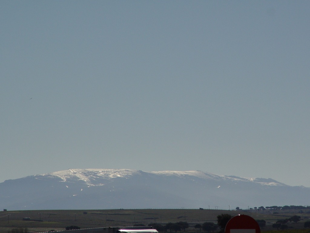 dsc03393.jpg