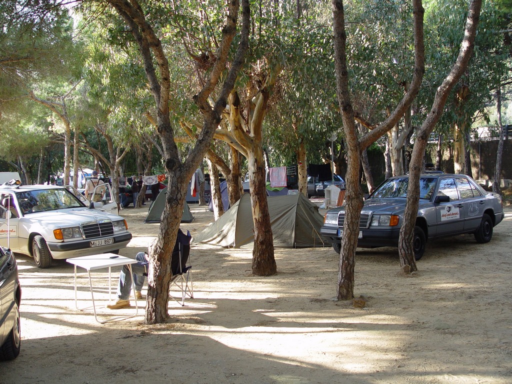 dsc03414.jpg