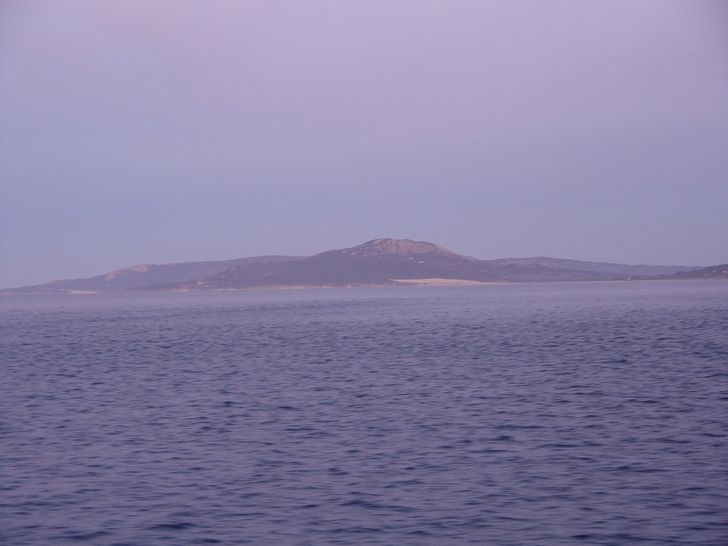 dsc03435.jpg