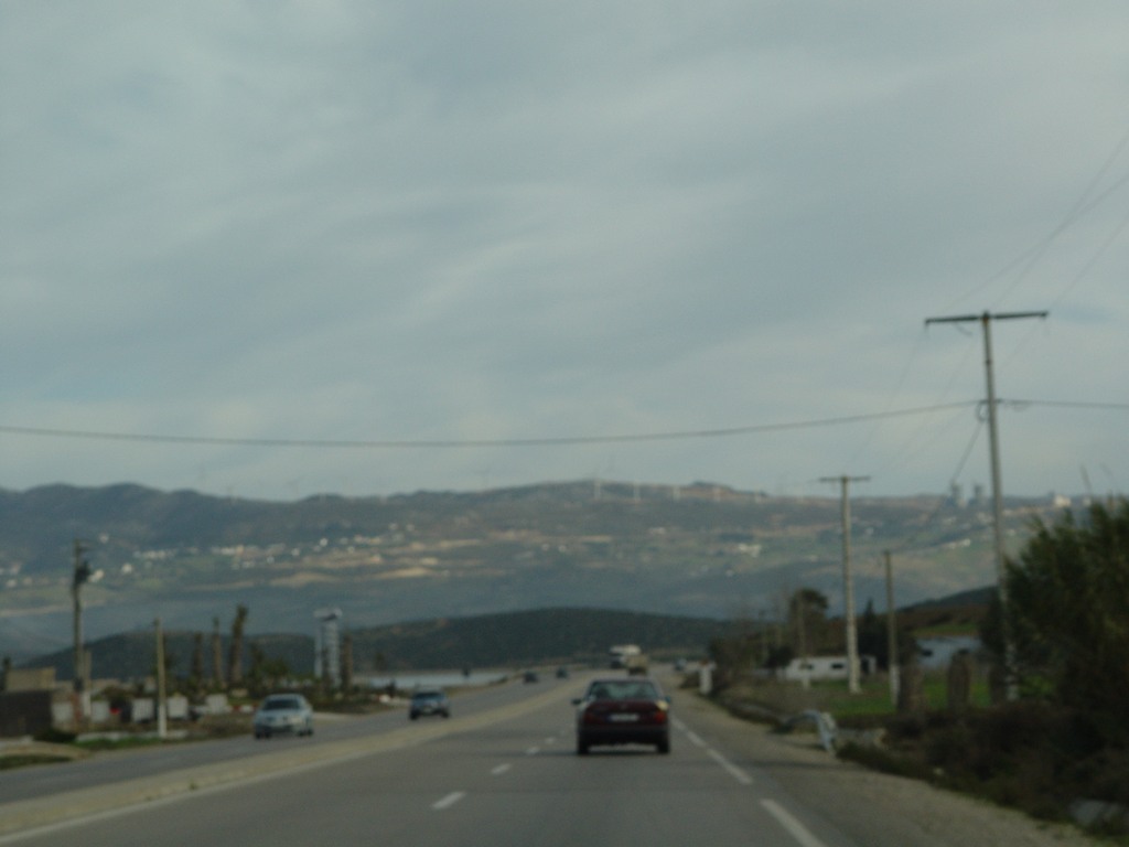 dsc03439.jpg