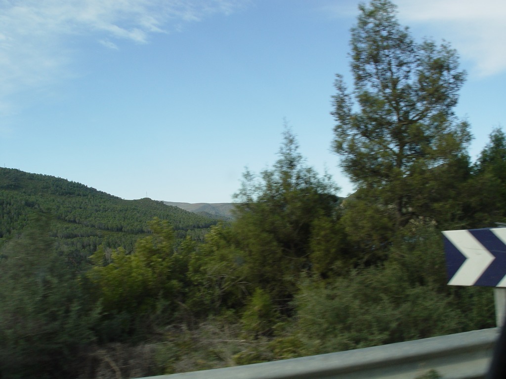 dsc03442.jpg