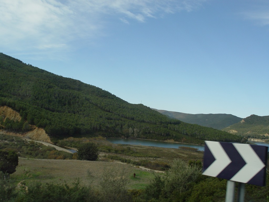 dsc03443.jpg
