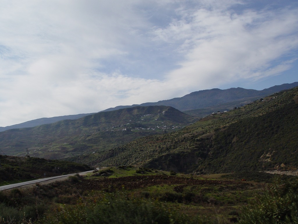 dsc03448.jpg