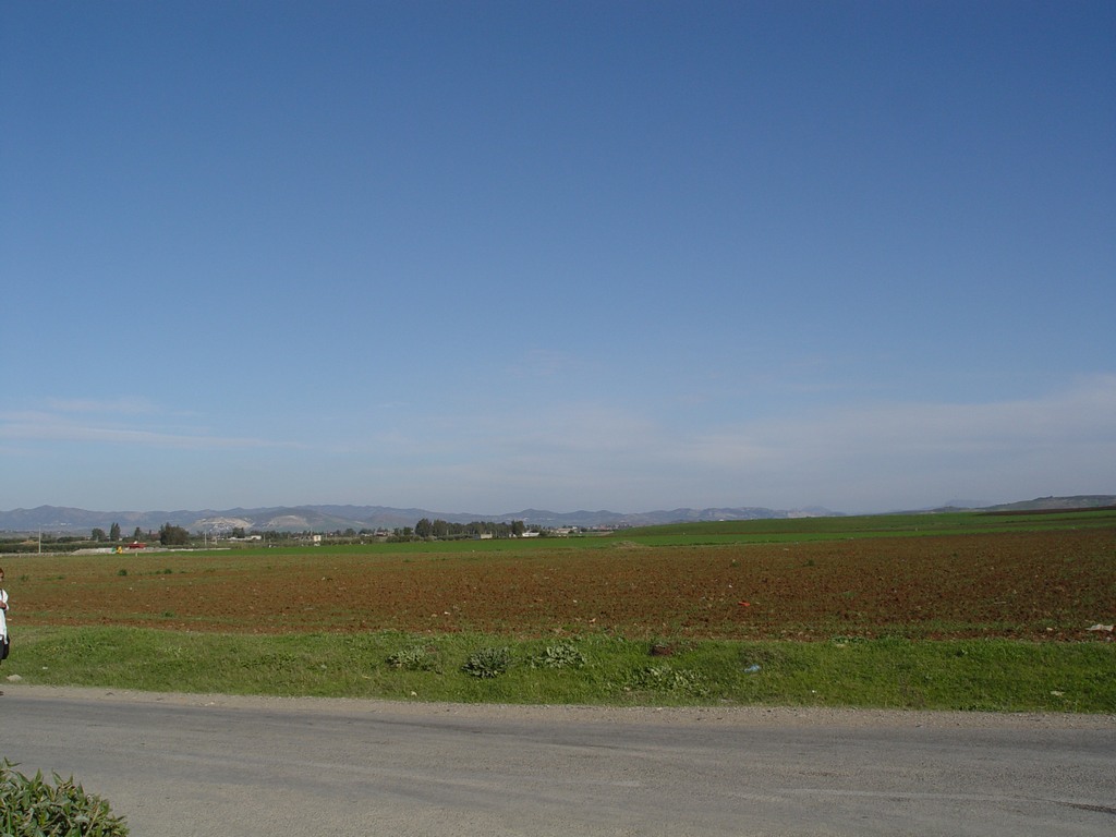 dsc03455.jpg