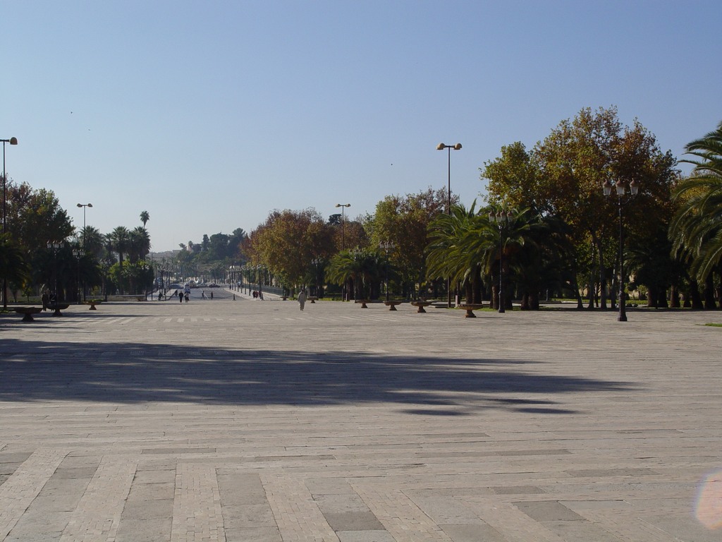 dsc03463.jpg