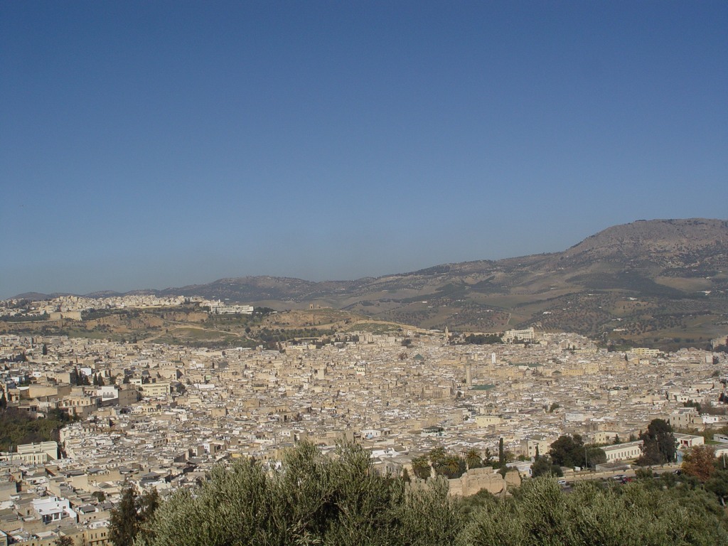 dsc03476.jpg
