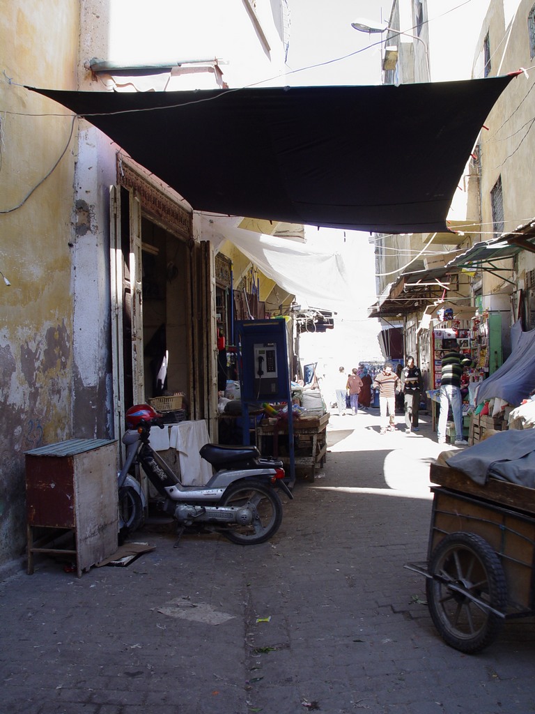 dsc03519.jpg