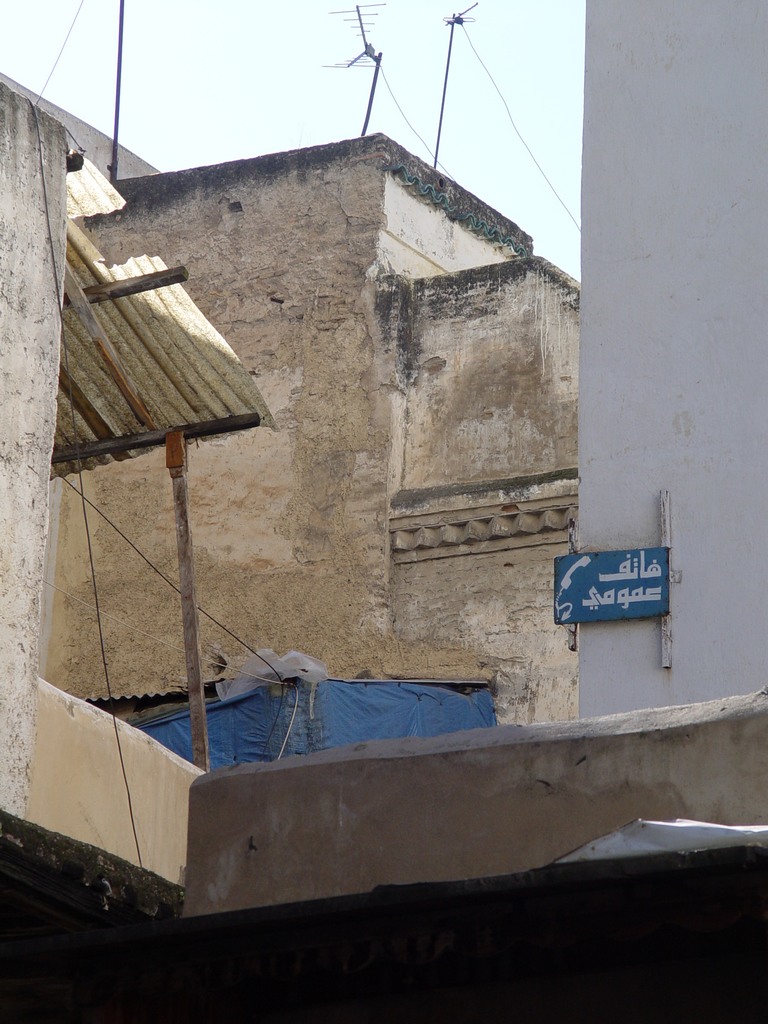 dsc03521.jpg