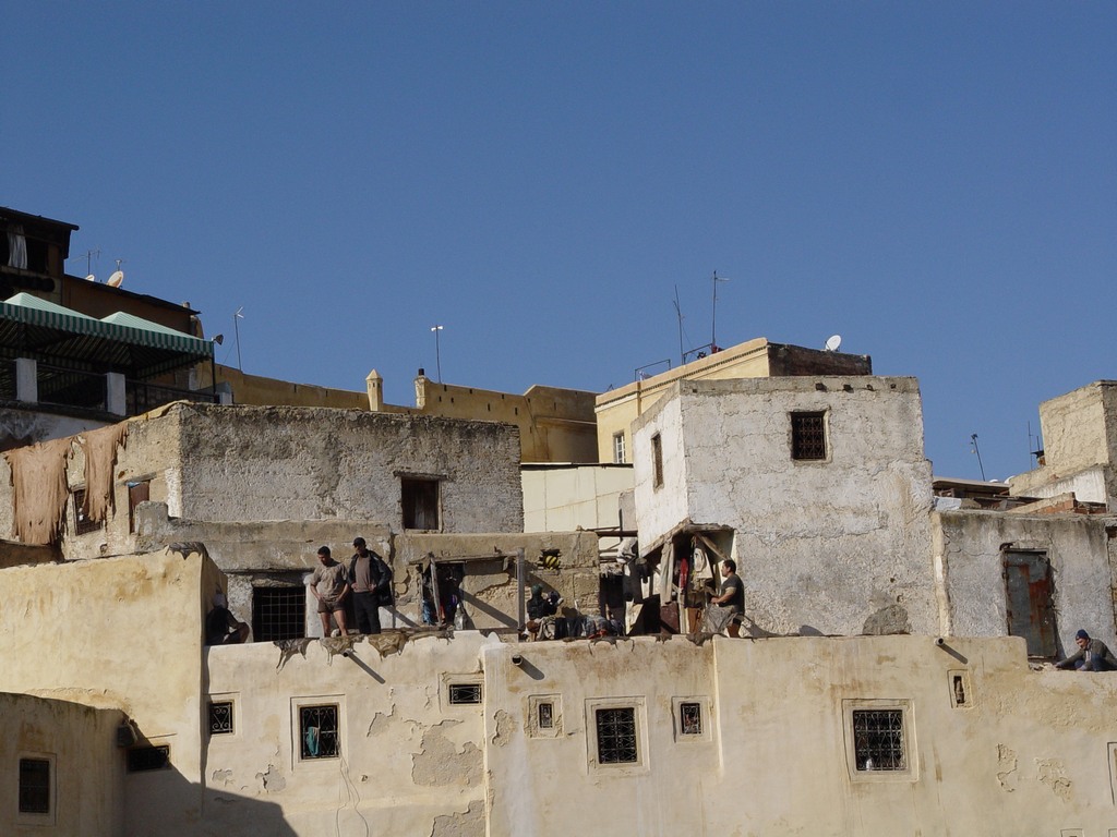 dsc03534.jpg
