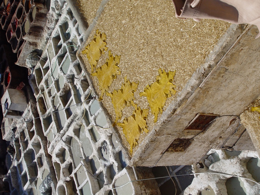 dsc03543.jpg