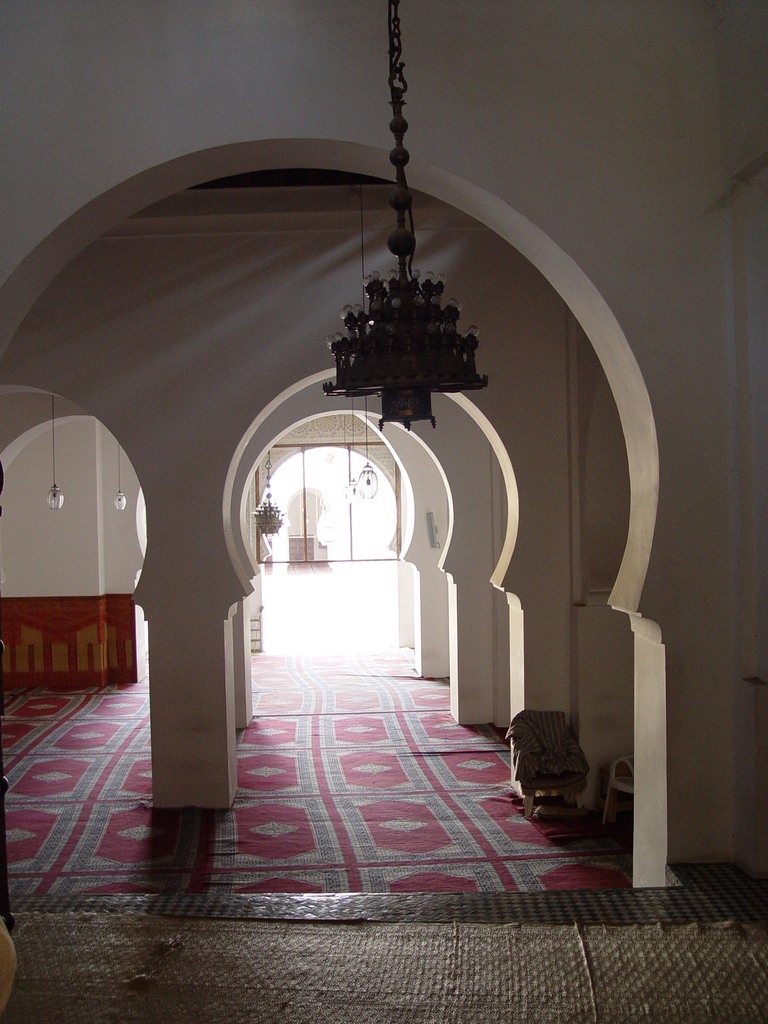 dsc03584.jpg