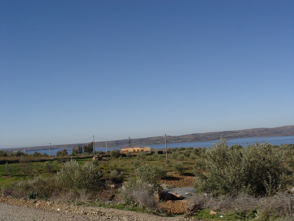 dsc03603.jpg