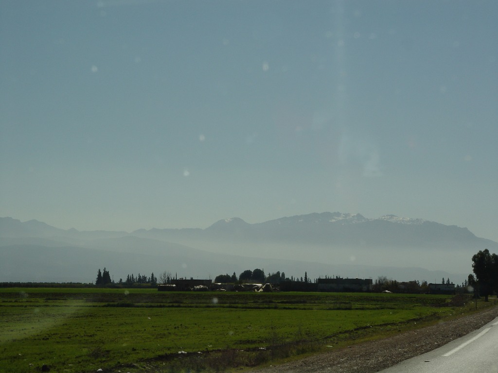 dsc03611.jpg