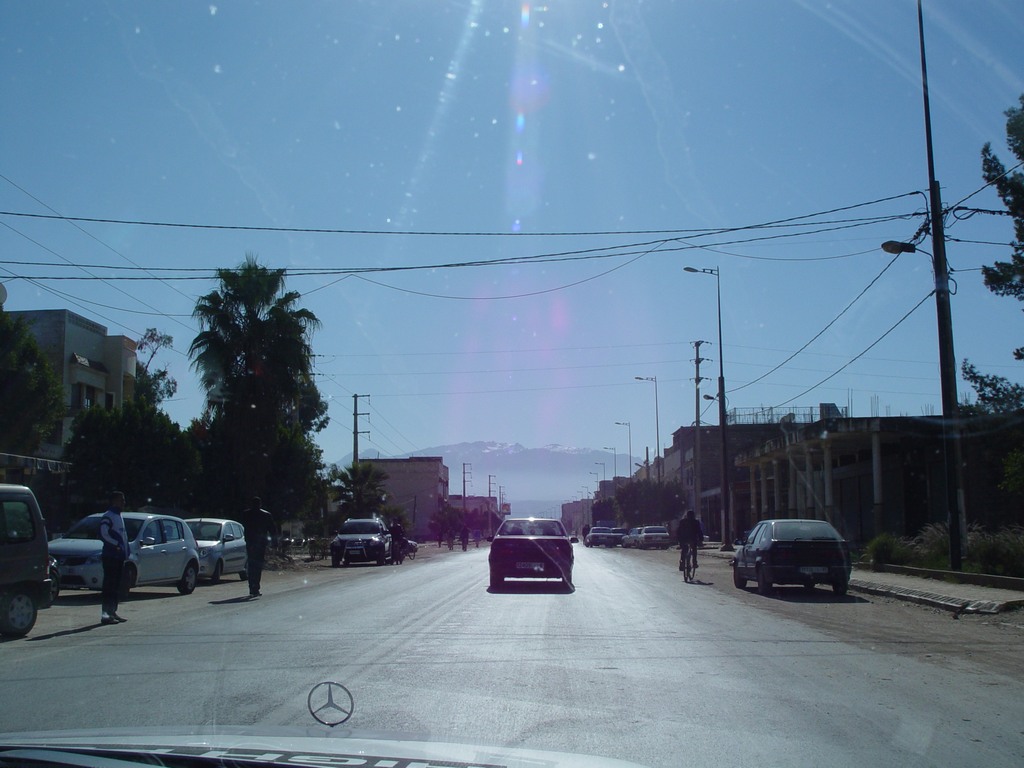 dsc03613.jpg