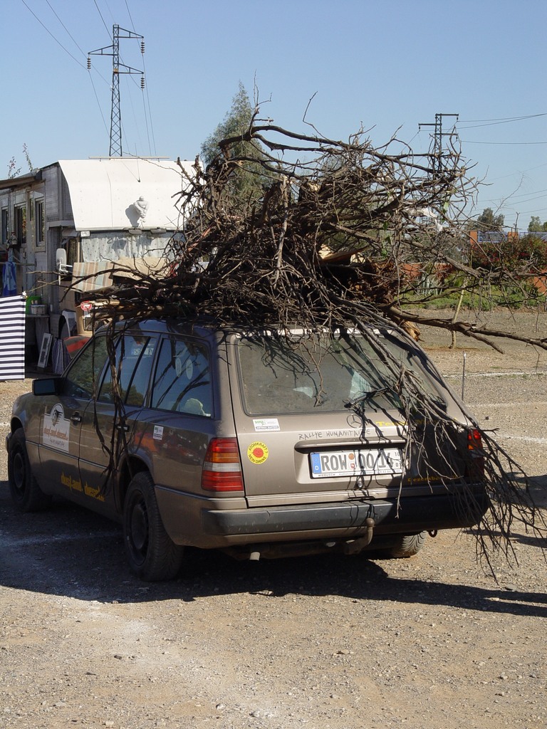 dsc03632.jpg