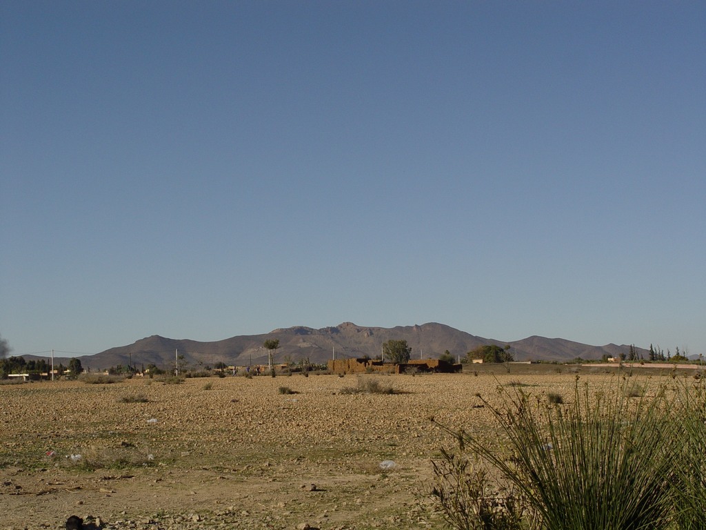 dsc03638.jpg