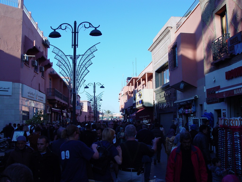 dsc03644.jpg