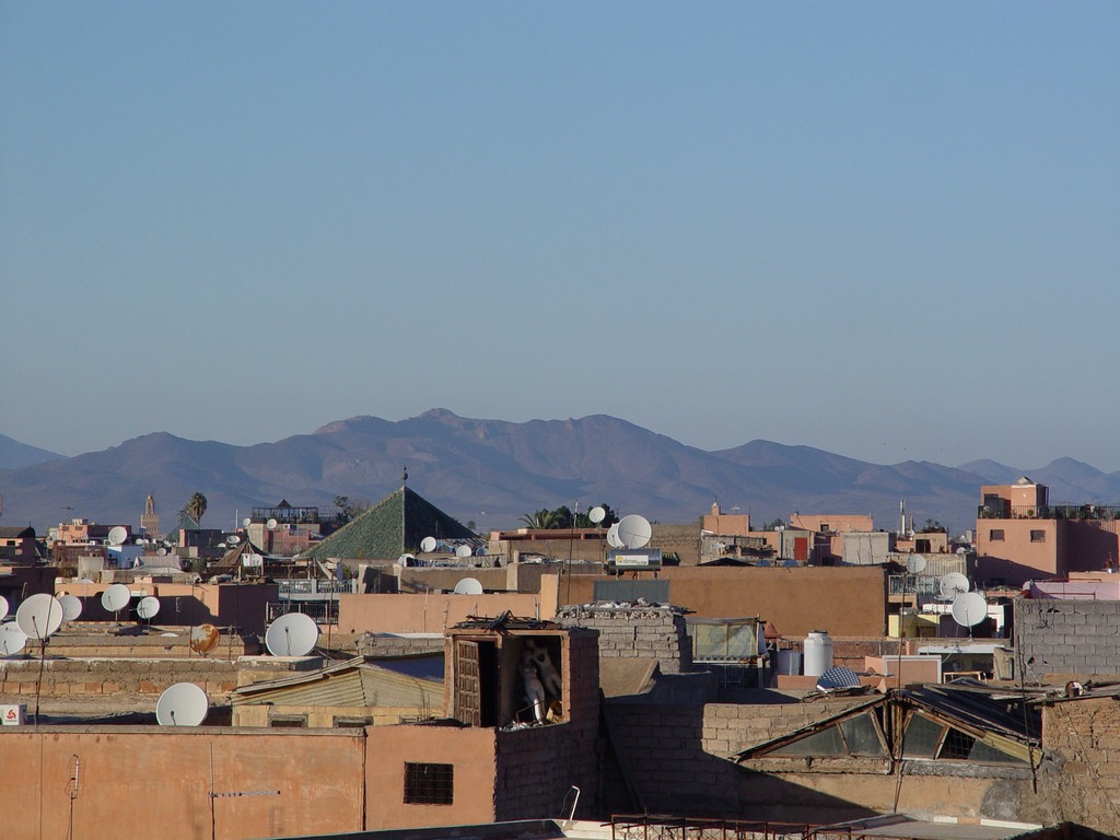 dsc03654.jpg