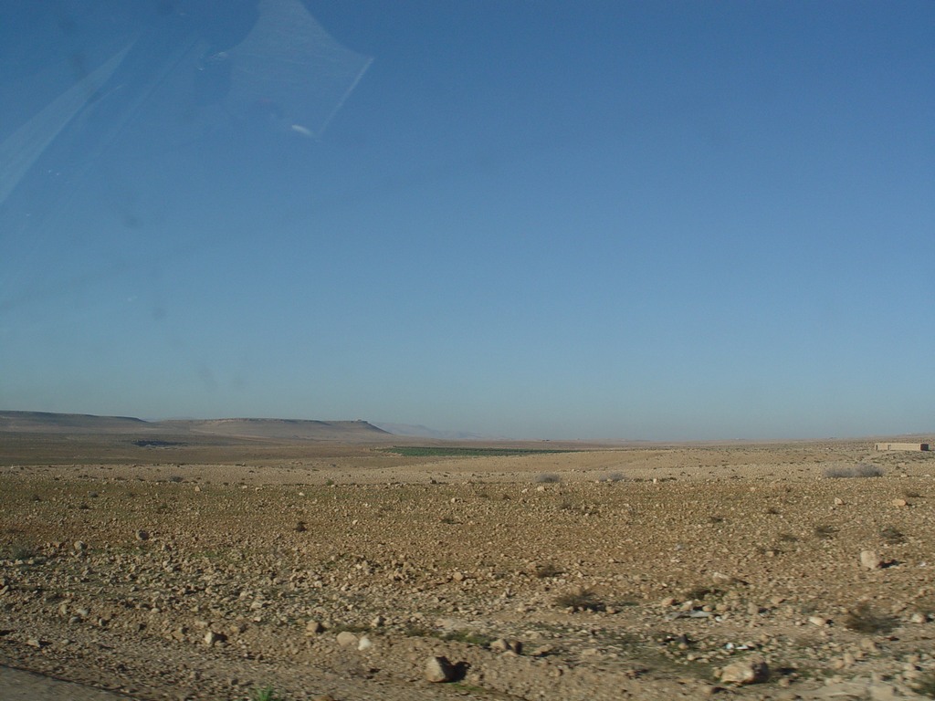 dsc03694.jpg