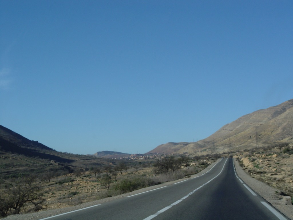 dsc03707.jpg