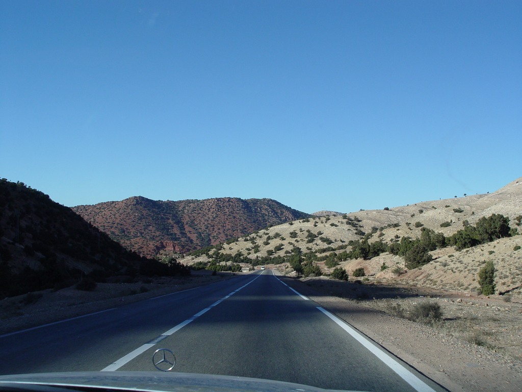 dsc03708.jpg