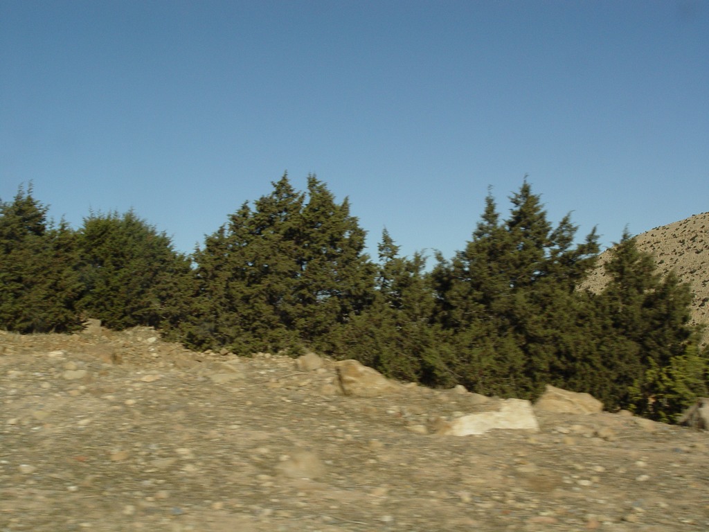 dsc03713.jpg