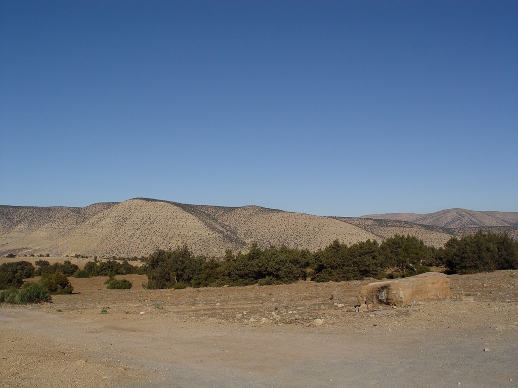 dsc03715.jpg