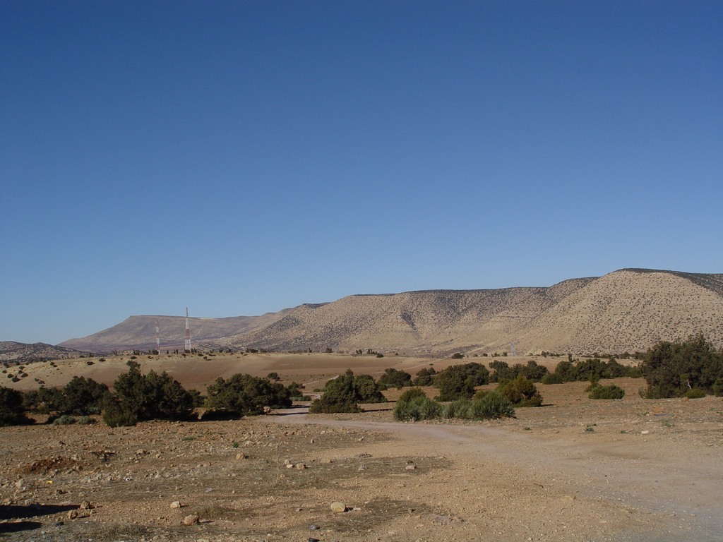 dsc03716.jpg