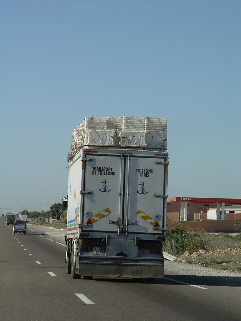 dsc03750.jpg