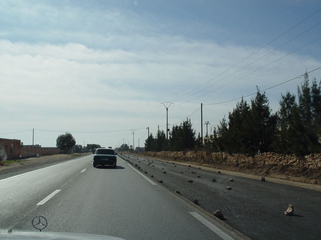 dsc03767.jpg