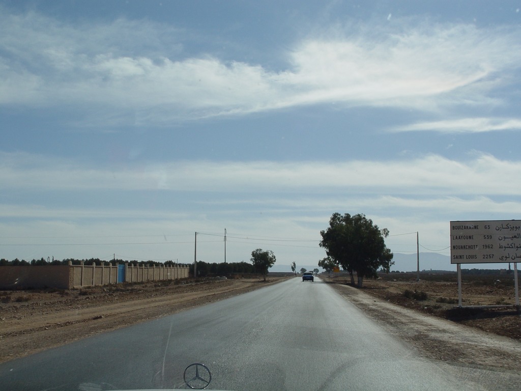 dsc03784.jpg