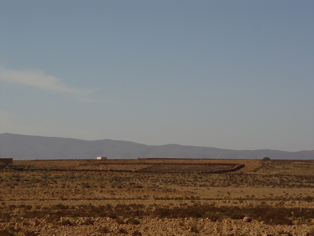 dsc03790.jpg
