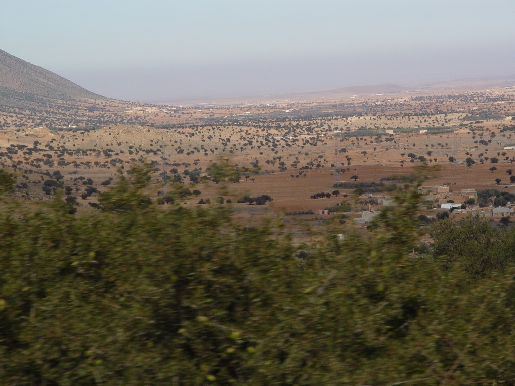 dsc03800.jpg