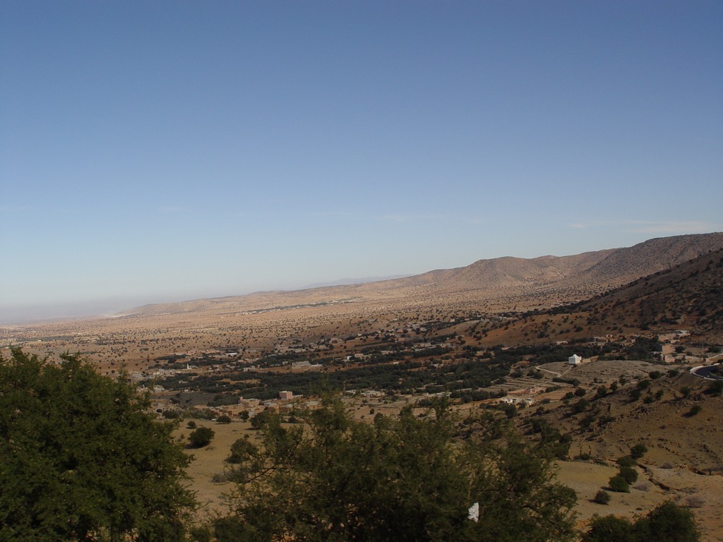 dsc03803.jpg