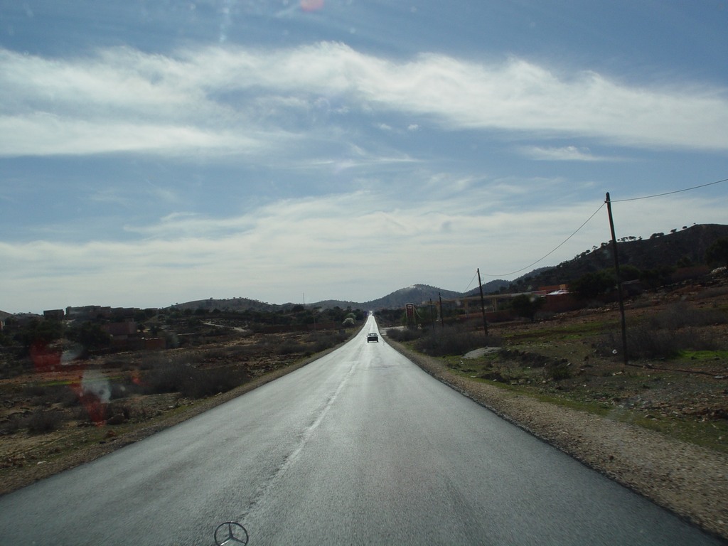 dsc03804.jpg