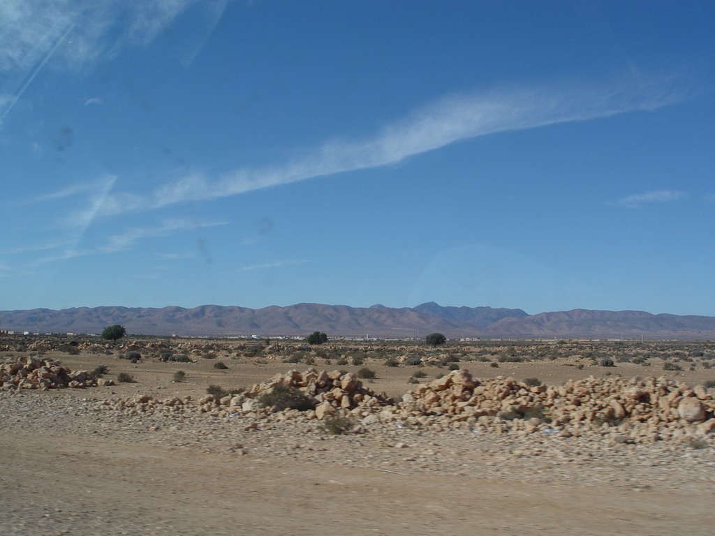 dsc03815.jpg