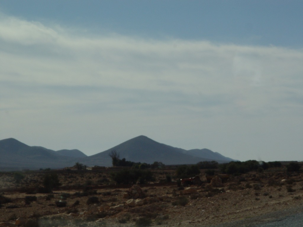 dsc03817.jpg