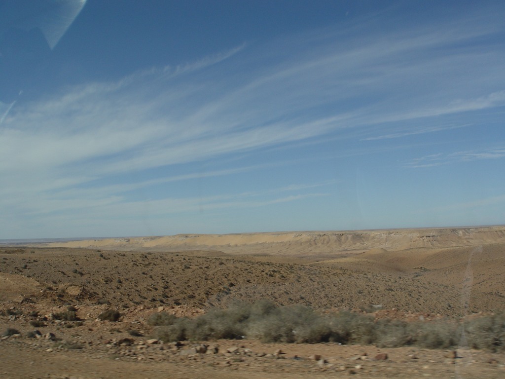 dsc03893.jpg