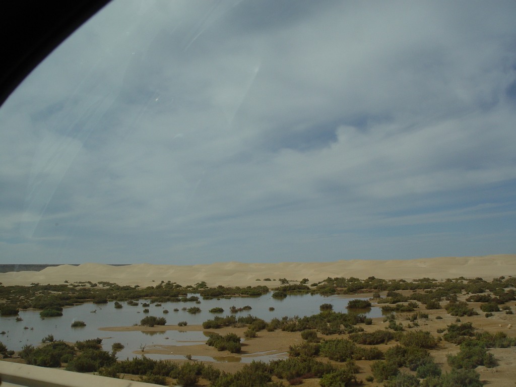 dsc03916.jpg
