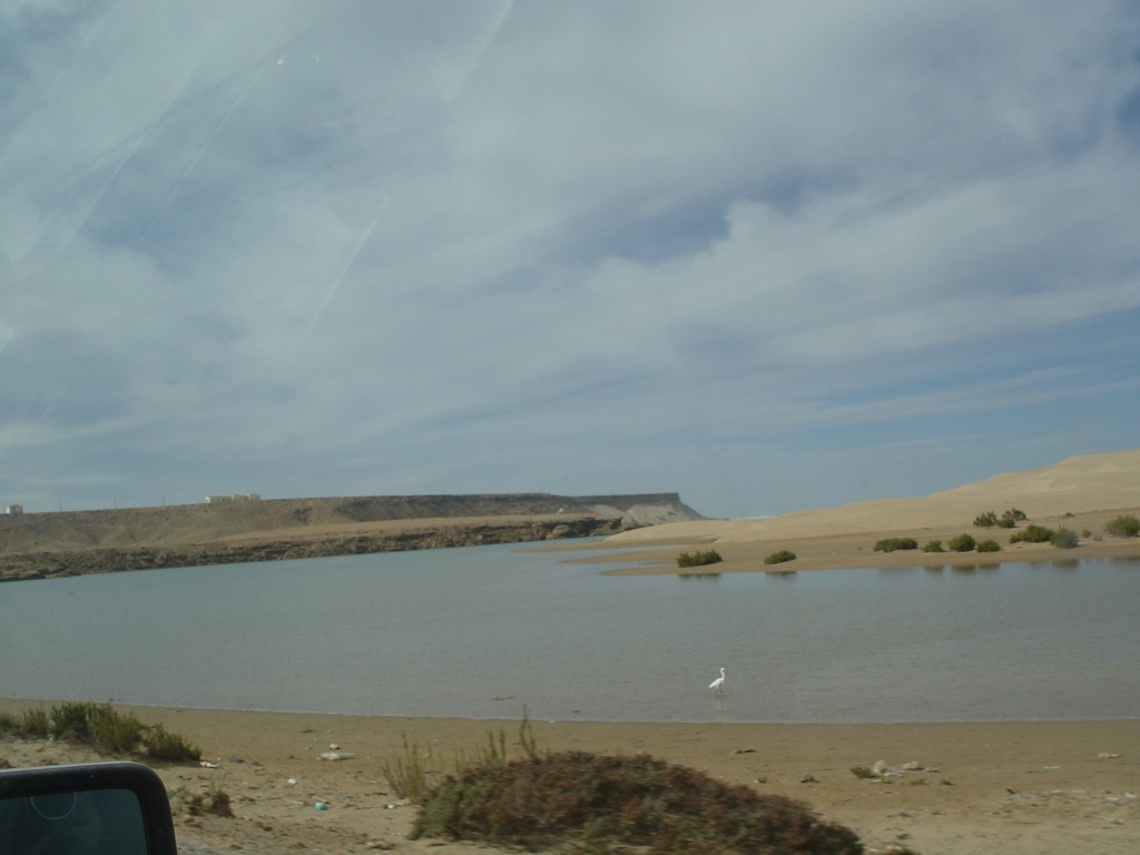 dsc03918.jpg