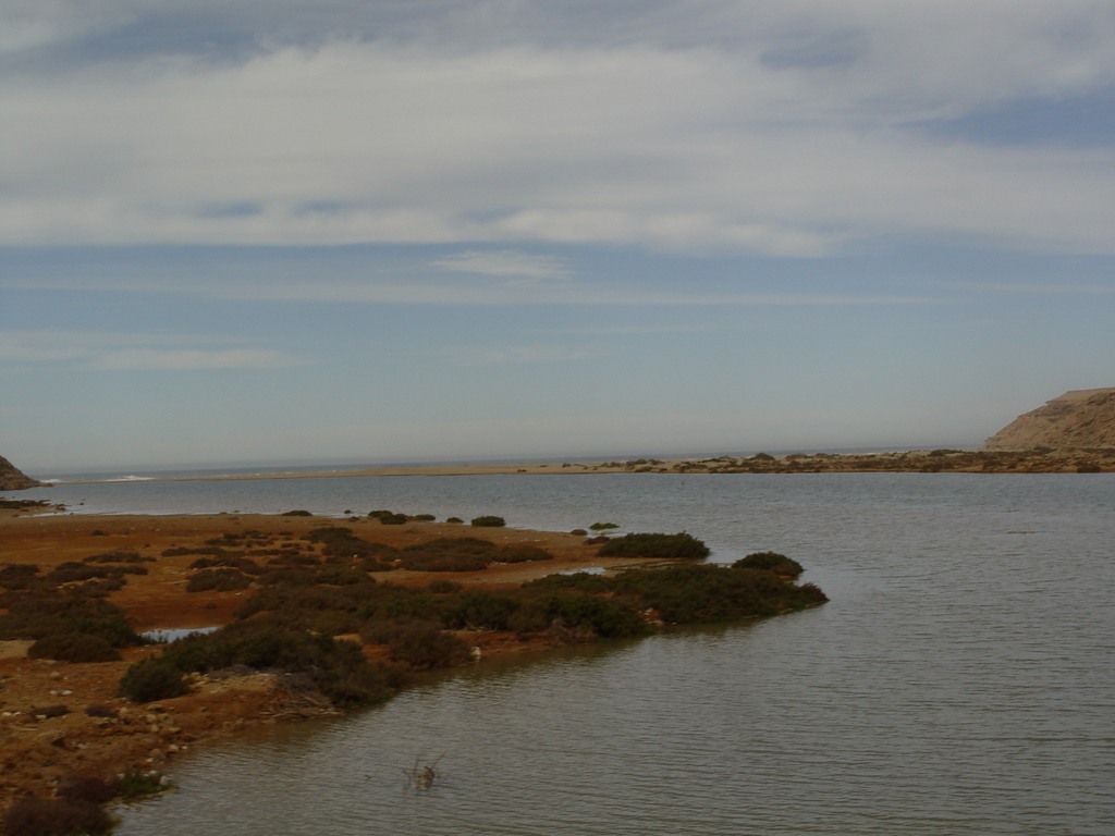 dsc03928.jpg