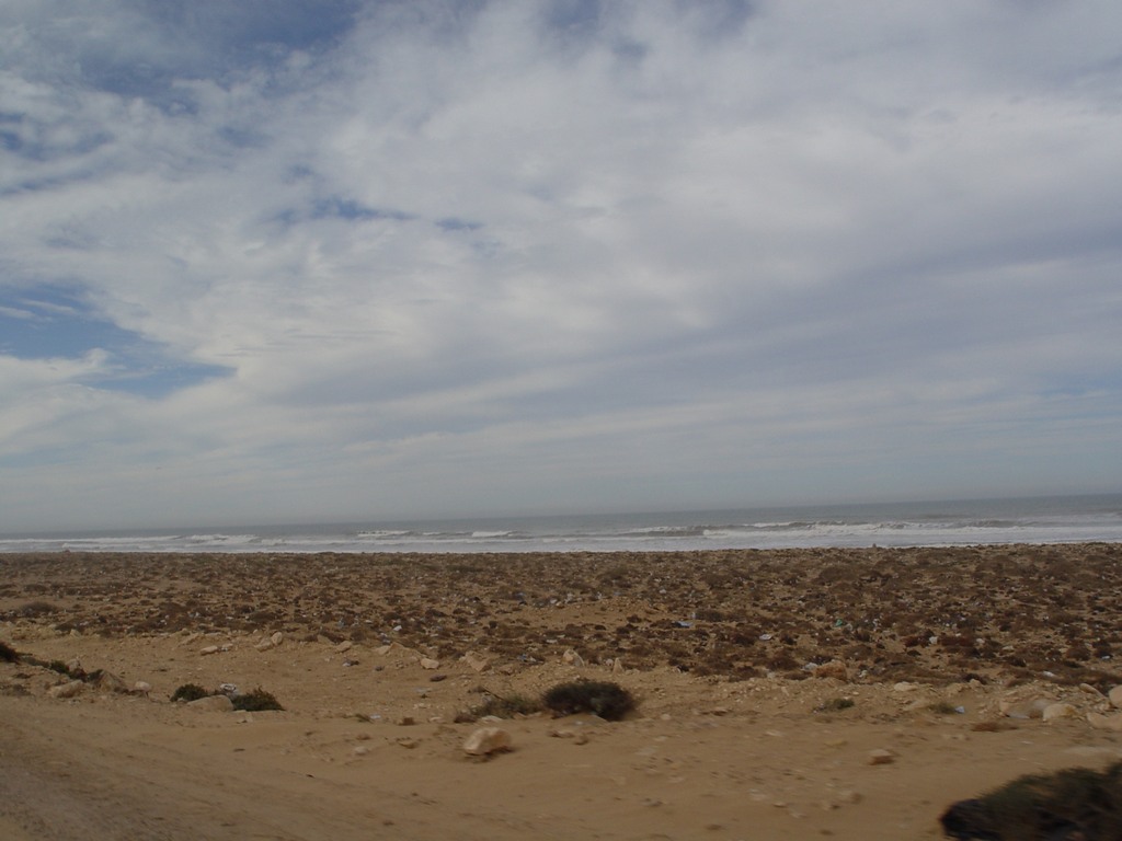 dsc03936.jpg