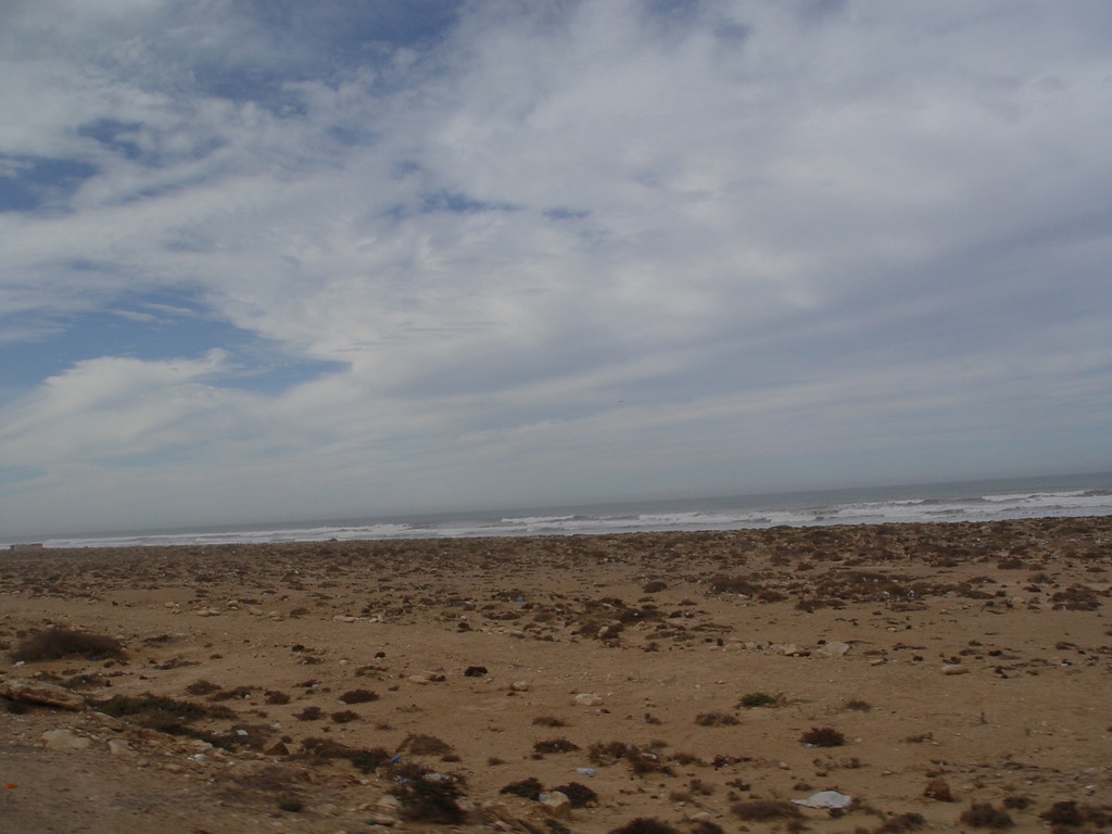 dsc03937.jpg