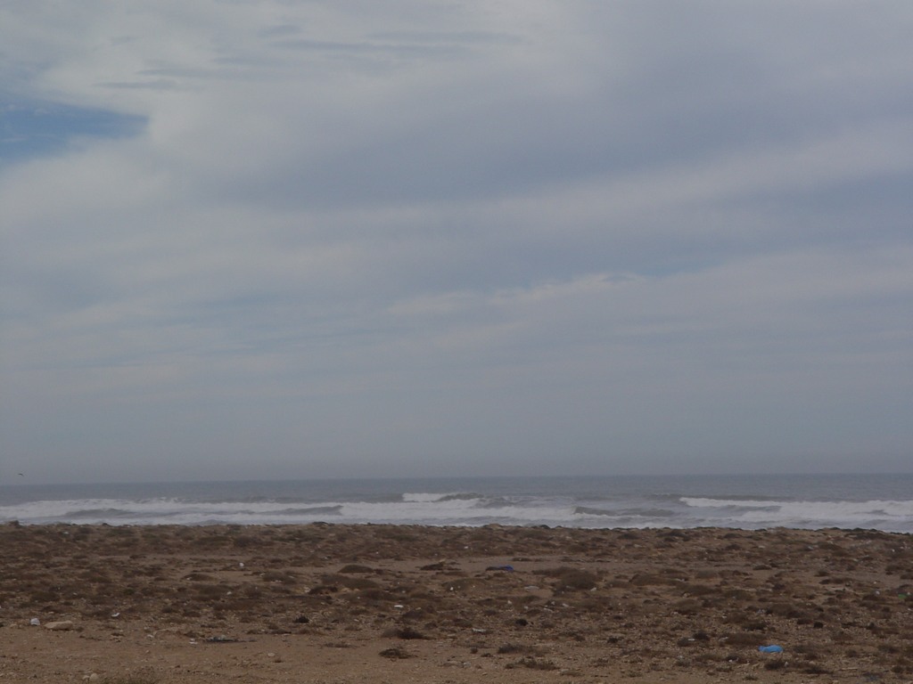 dsc03938.jpg